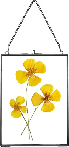 Miniatura 14 de REDHUGO Marcos de flores prensadas para colgar, marco flotante de doble vidrio hecho a mano, marco de vidrio para flores prensadas, marco de fotos