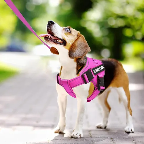 Miniatura 3 de voopet Arnés para perro de servicio, arnés de chaleco de apoyo emocional para mascotas, arnés reflectante transpirable y ajustable para perros
