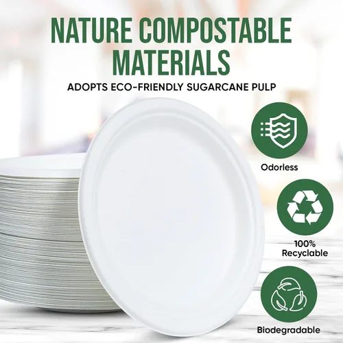 Miniatura 5 de TaidMiao Platos de Papel de 9 Pulgadas Paquete de 100 - Vajilla 100% Compostable Platos Desechables Resistentes a Fugas y Grasa para Fiestas