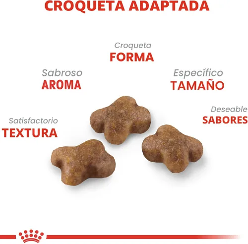 Miniatura 3 de Comida seca para gatitos de Royal Canin, Nutrición para la salud felina, Bolsa de 3.2 kg