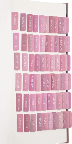 Miniatura 10 de Pestañas bíblicas, suministros de estudio bíblico, pestañas laminadas de diario bíblico para mujeres, hombres, niños, etiquetas bíblicas