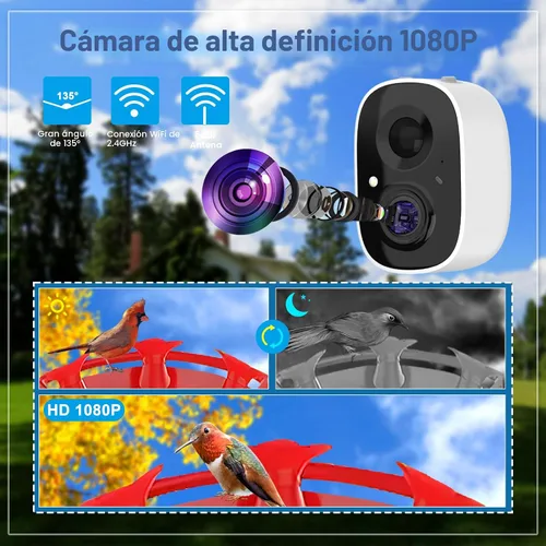 Miniatura 8 de Comedero de colibrí con cámara, comedero inteligente inalámbrico para pájaros para ver video al aire libre, cámara AI con videos de captura