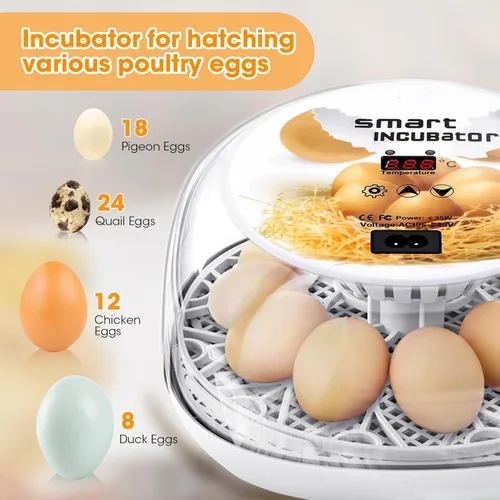 Miniatura 3 de Incubadoras para incubar huevos, tazas para dar de beber a pollos, volteador de huevos automático que contiene 12 huevos, incubadora inteligente