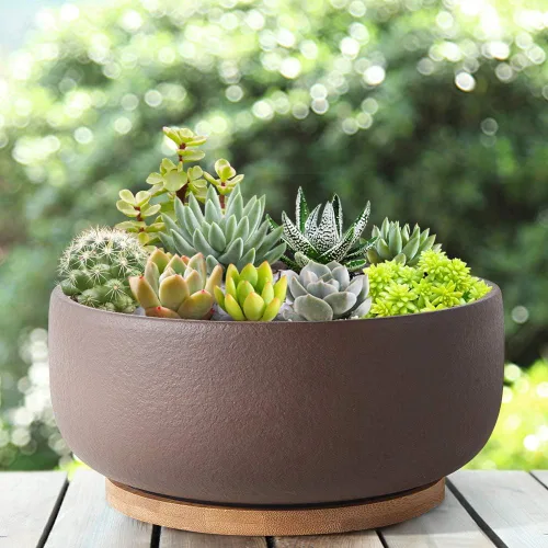 Miniatura 7 de SQOWL Maceta de terracota para bonsái y suculenta de 8 pulgadas, maceta de cerámica redonda para cactus, maceta de arcilla con agujero de drenaje