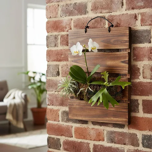 Miniatura 9 de Kit de tablero de montaje para helecho Staghorn Dranvosk, maceta de pared de madera, soporte colgante para plantas verticales, Platycerium