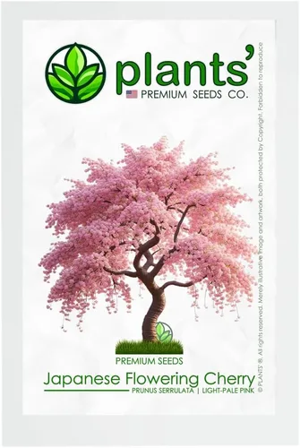 Cerezo Japonés | Semillas Premium | Prunus serrulata 'Spring' | Pink Bloom | Plants'® (Premium Seeds, 20)