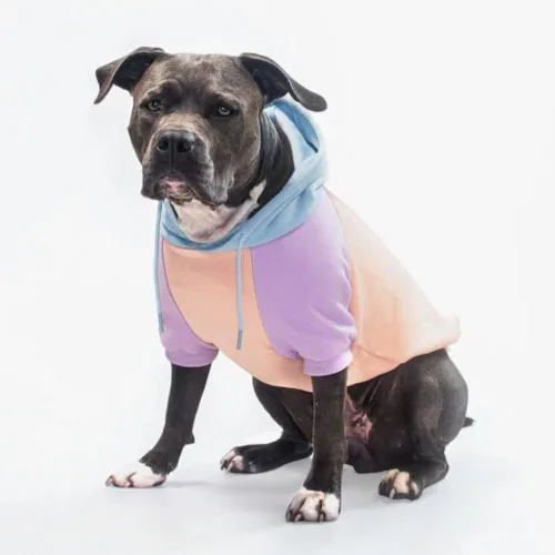 Miniatura 80 de Spark Paws Sudadera con capucha para perro, suéter de primera calidad para perros pequeños, medianos y grandes Trajes cálidos para bulldogs