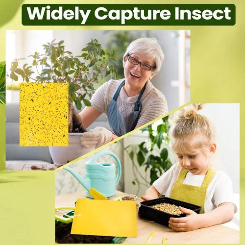 Miniatura 4 de Qualirey 500 trampas adhesivas amarillas de 6 x 8 pulgadas para mosquitos, trampas adhesivas de doble cara para interiores y exteriores, atrapa