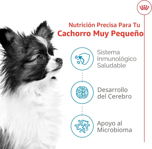 Miniatura 4 de De Royal Canin, Size Health Nutrition, comida seca para cachorros extra pequeños, comida para perros