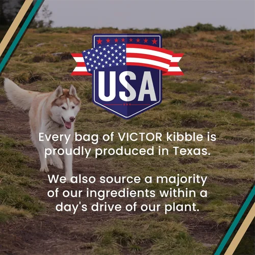 Miniatura 10 de VICTOR Super Premium - Alimento para perros Hi-Pro Plus - Comida seca para perros con alto contenido de proteínas con 30% de proteínas, carne
