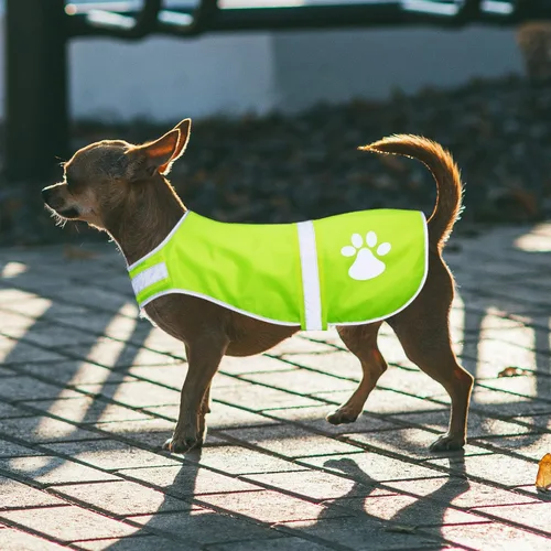 Miniatura 5 de Geyoga Chaleco reflectante para perro, 2 piezas, ajustable, chaleco de servicio de seguridad para perros, ropa de alta visibilidad, chaqueta