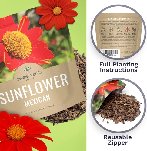 Miniatura 5 de Semillas de girasol mexicano - Paquete extra grande - Más de 2,500 semillas de flores silvestres polinizadas abiertas sin OMG - Tithonia rotundifolia