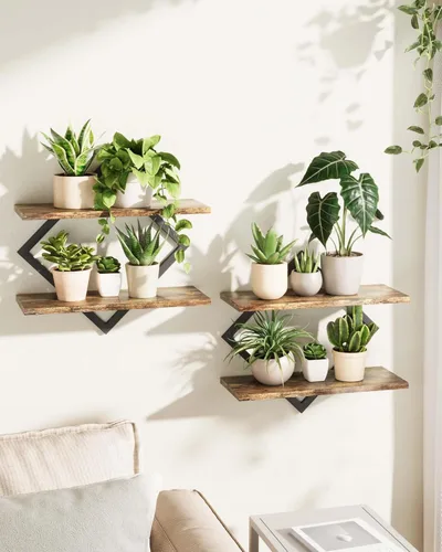 Bamworld Estantes flotantes para macetas de pared para plantas de interior, estantes colgantes, soporte para plantas, decoración de pared, soporte