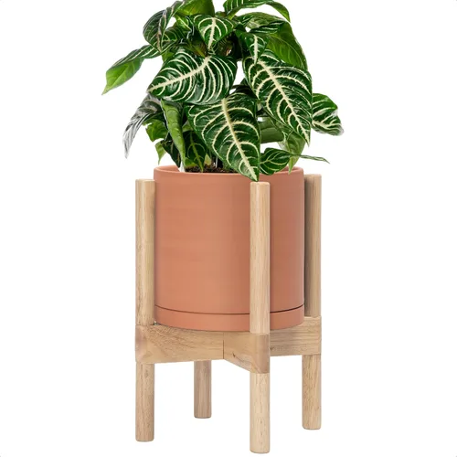 Miniatura 38 de D'vine Dev Maceta de cerámica con soporte de ébano – Maceta redonda moderna de 8 pulgadas con soporte para maceta de madera, color negro, 55-B-M-2
