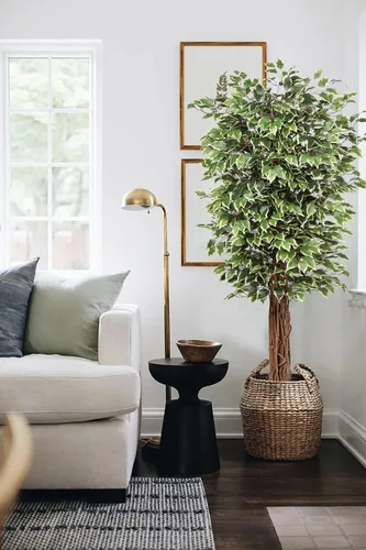 Miniatura 3 de plant Árbol de ficus artificial de 6 pies en maceta, plant de seda falsa con hojas verdes y blancas, tronco natural para decoración de interiores