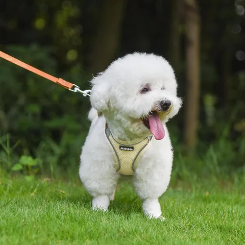 Miniatura 2 de AIITLE Arnés para perro, arnés sin tirones con correa, chaleco reflectante ajustable para perro, arnés para gatos a prueba de escape, caminar al