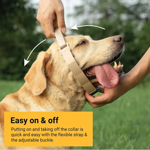 Miniatura 4 de SVD.PET Collar de punta para perro para entrenamiento sin tirones, hebilla de liberación rápida ajustable para perros pequeños