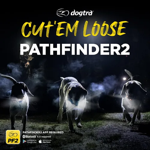 Miniatura 8 de Dogtra PATHFINDER 2 MINI Receptor adicional Perro GPS Tracker e Collar Luz LED Verde Sin tarifas mensuales Aplicación gratuita Impermeable