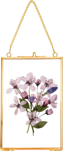 Miniatura 12 de REDHUGO Marcos de flores prensadas para colgar, marco flotante de doble vidrio hecho a mano, marco de vidrio para flores prensadas, marco de fotos