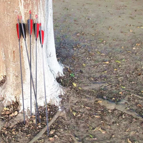 Miniatura 2 de Letszhu Flechas de tiro con arco de carbono 500 lomo con plumas reales para arco recurvo compuesto (paquete de 12)