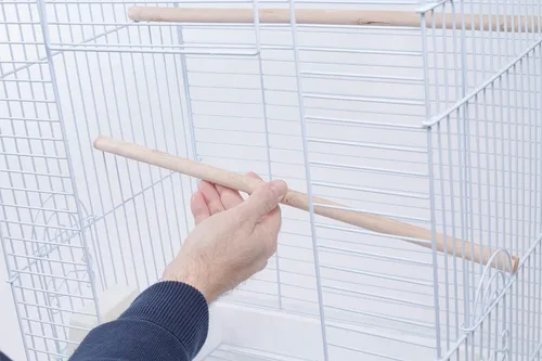 Miniatura 5 de PENN-PLAX Cockatiel & Small Parrot Starter Kit con jaula para pájaros, cubierta y accesorios, perfecto para cacatúas, conures y loros pequeños