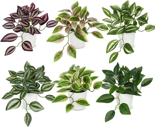 Miniatura 13 de Hollyone Plantas falsas, 2 paquetes de plantas artificiales de interior con maceta de plástico blanco, pequeña planta falsa en maceta para el hogar