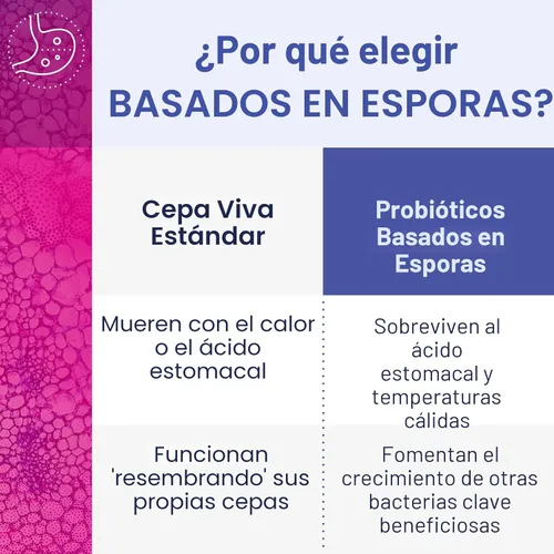 Miniatura 4 de Microbiome Labs MegaSporeBiotic Probióticos para mujeres y hombres, probióticos a base de esporas para la salud intestinal y el apoyo digestivo