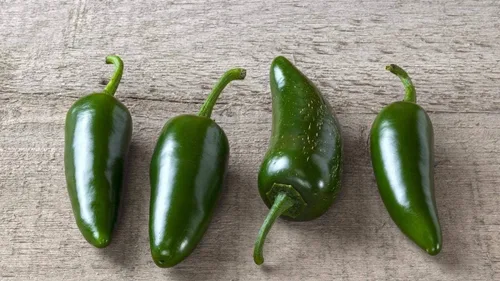Miniatura 3 de Gaea's Blessing Semillas – Semillas de pimiento jalapeño – Semillas de pimiento picante tradicionales sin OMG de polinización abierta de alto