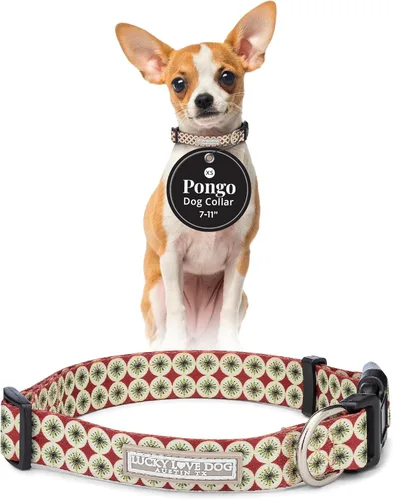 Miniatura 20 de Lucky Love Dog - Collar de perro ajustable con hebilla de fácil clic para los grandes, duradero y cómodo para perros machos y hembras, collar