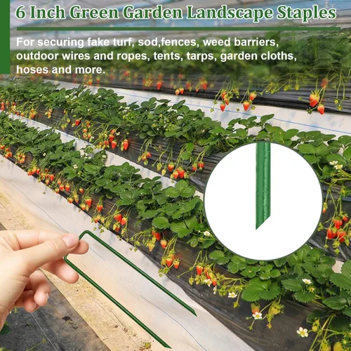 Miniatura 4 de Estacas de jardín galvanizadas de 6 pulgadas, grapas de césped verde tipo U para césped artificial, a prueba de óxido, estacas para asegurar vallas