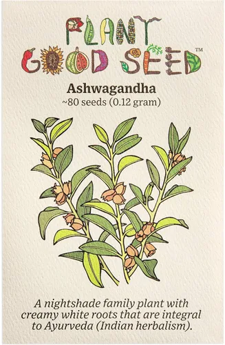 Plant Good Seed Semillas orgánicas de Ashwagandha para plantar: hierba ayurveda, raíces blancas - Paquete de 80 semillas