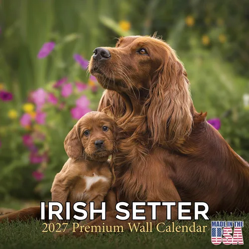 Miniatura 213 de Calendario Collie 2025 2026 – Calendario mensual de pared de raza de perro – 12 x 24 pulgadas abierto – Papel grueso que no se corre – Regalar