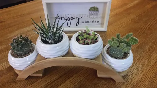 Miniatura 7 de E-liu Juego de macetas y soporte para suculentas, maceta de cerámica blanca con drenaje, paquete de 4, bonita decoración de interiores de oficina