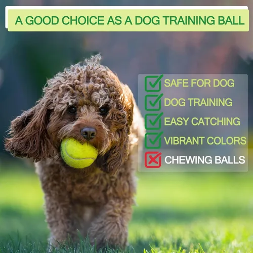 Miniatura 8 de INSUM Bulk Tennis Balls for Beginner – 12 Pack High Elasticity Practice Tennis Balls with Mesh Bag, Suit for Pet Dog Training, Fetching Amarillo-N