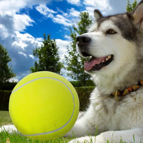 Miniatura 6 de Pelotas de tenis para perros grandes de 9.5 pulgadas, paquete de 2 pelotas de juguete para mascotas para perros pequeños, medianos y grandes