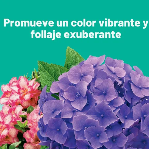 Miniatura 2 de Miracle-Gro Puntas de alimento para plantas de árboles y arbustos, para árboles caducifolios, con flores y siempre verdes, 12 puntas