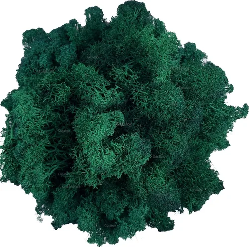 Miniatura 18 de Musgo artificial preservado de musgo para plantas en maceta, musgo verde fresco natural para manualidades, decoración de pared floral, centros