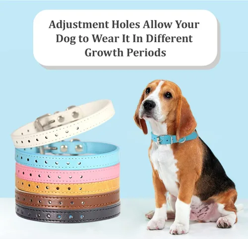 Miniatura 5 de Collares para Cachorros para Nido - 12 Colores Collar de Identificación Ajustable de Cuero para Perros Pequeños, Medianos y Grandes