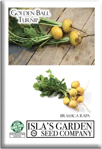Semillas de nabo Golden Ball para plantar, más de 1000 semillas de reliquia por paquete, semillas de jardín de Isla (semillas de jardín de Isla),