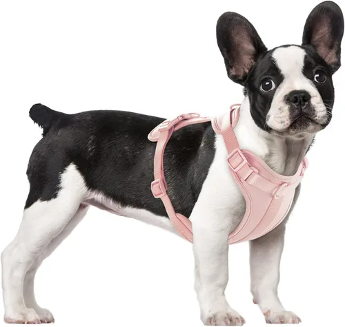 Miniatura 37 de Arnés ligero para perro sin tirones: arnés ajustable y duradero de malla transpirable con cojín suave y cómodo, para perros pequeños, medianos y Lila