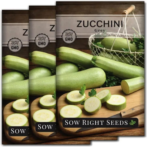Sow Right Seeds - Semilla de calabacín gris para plantar - Paquete de reliquia sin OMG con instrucciones para plantar un huerto casero - Calabacín