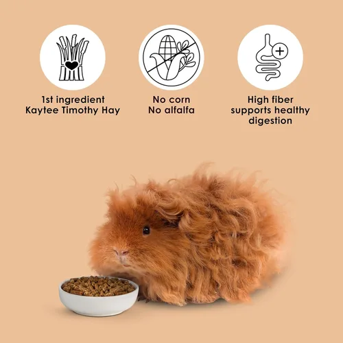 Miniatura 7 de Kaytee Timothy Complete - Alimento para conejillo de indias, fabricado con heno Timothy, alto en fibra, apoya la salud dental y la digestión