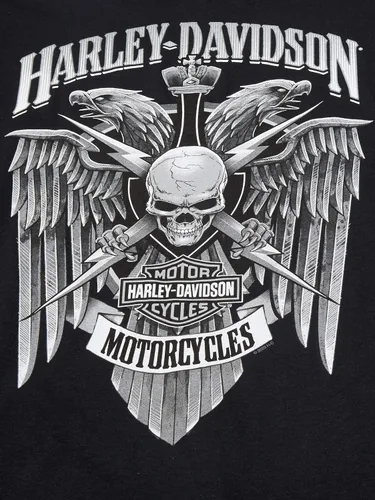 Miniatura 2 de Harley-Davidson Skull Lightning Crest - Camisa de manga larga para hombre, color negro, Negro