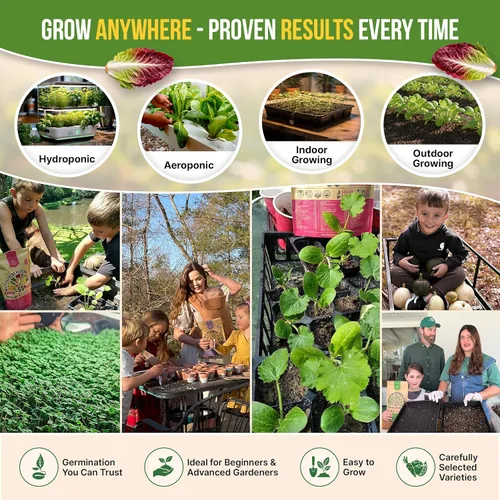 Miniatura 5 de Organo Republic Paquete de variedad de semillas de lechuga y verduras para ensalada de 15 tipos, más de 17700 semillas de lechuga autóctonas sin OGM