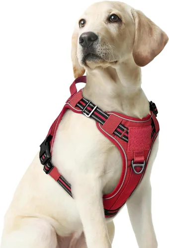Miniatura 26 de rabbitgoo - Arnés para perros pequeño sin tirones, chaleco táctico de servicio con Molle y asa de control, arnés militar ajustable y reflectante