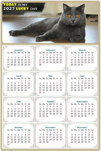 Calendario magnético 2024 – Imanes del calendario – Today is my Lucky Day – Resistente a la decoloración, desgarros y agua – Temática de gato 014