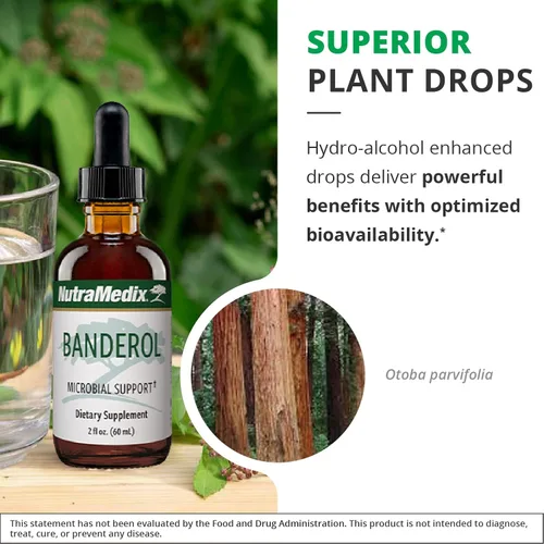 Miniatura 5 de NutraMedix Suplemento diario de apoyo inmunológico, suplementos herbales Banderol para el apoyo del sistema inmunológico, tintura vegana, gotas