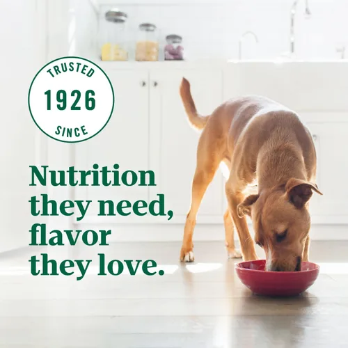 Miniatura 10 de Nutro Alimento ultra seco para perros adultos con un trío de proteínas de pollo, cordero y salmón, bolsa de 4 libras