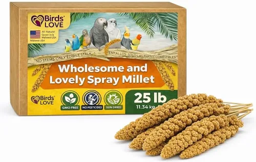 Miniatura 12 de Birds LOVE Mijo en aerosol saludable y encantador sin OMG sin pesticidas (sin tallos solo tapas comestibles) para loros, pájaros, cacatúas