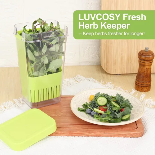 Miniatura 3 de LUVCOSY Herb Keeper, protector de hierbas de plástico sin BPA con una cesta interior para cilantro, menta, perejil y espárragos, mantiene